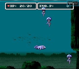 Image in-game du jeu E.V.O. - Search for Eden sur Nintendo Super NES