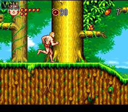 Image in-game du jeu Jungle no Ouja Tar-chan - Sekai Manyuu Dai Kakutou no Maki sur Nintendo Super NES