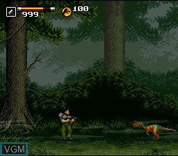 Image in-game du jeu Jurassic Park Part 2 - The Chaos Continues sur Nintendo Super NES