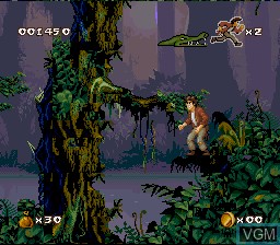 Image in-game du jeu Pitfall - The Mayan Adventure sur Nintendo Super NES