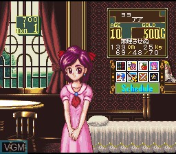 Image in-game du jeu Princess Maker - Legend of Another World sur Nintendo Super NES