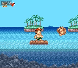 Image in-game du jeu Super Adventure Island II sur Nintendo Super NES