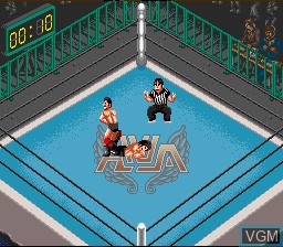 Super Fire ProWrestling Special