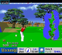 New 3D Golf Simulation - Devil's Course