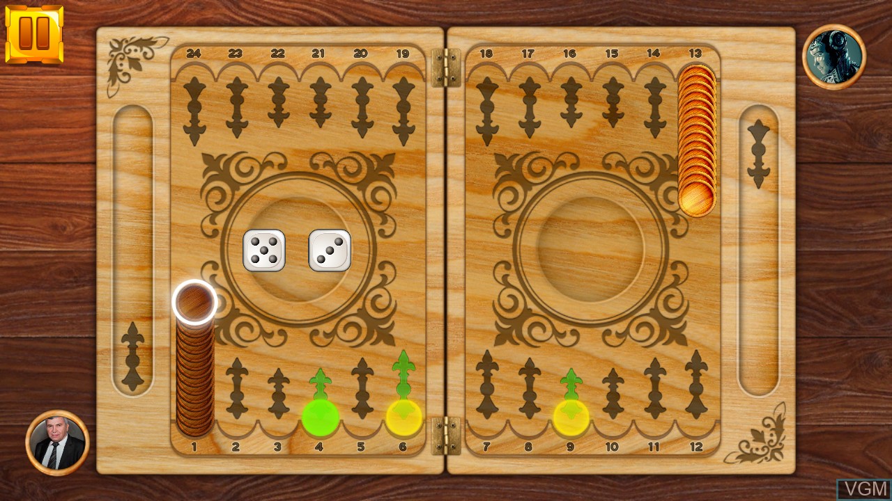 Backgammon Board Game Puzzle