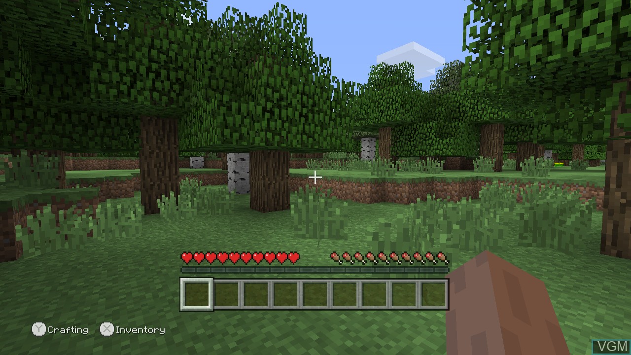 Image in-game du jeu Minecraft - Wii U Edition sur Nintendo Wii U