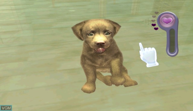 Image in-game du jeu Petz Sports - Dog Playground sur Nintendo Wii