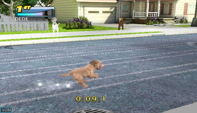 Image in-game du jeu Petz Sports sur Nintendo Wii