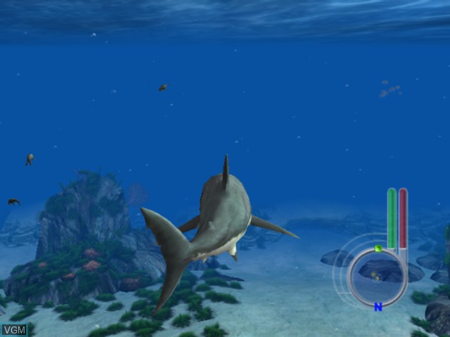 Image in-game du jeu Jaws Unleashed sur Microsoft Xbox